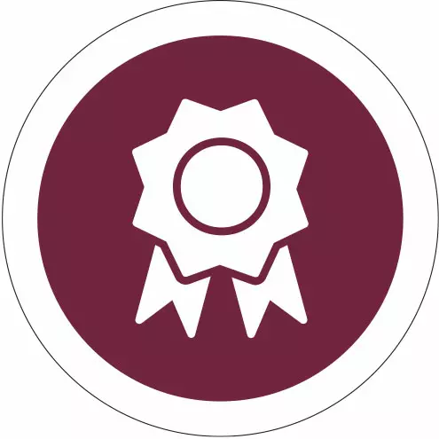 Renaissance Development Accolades Icon