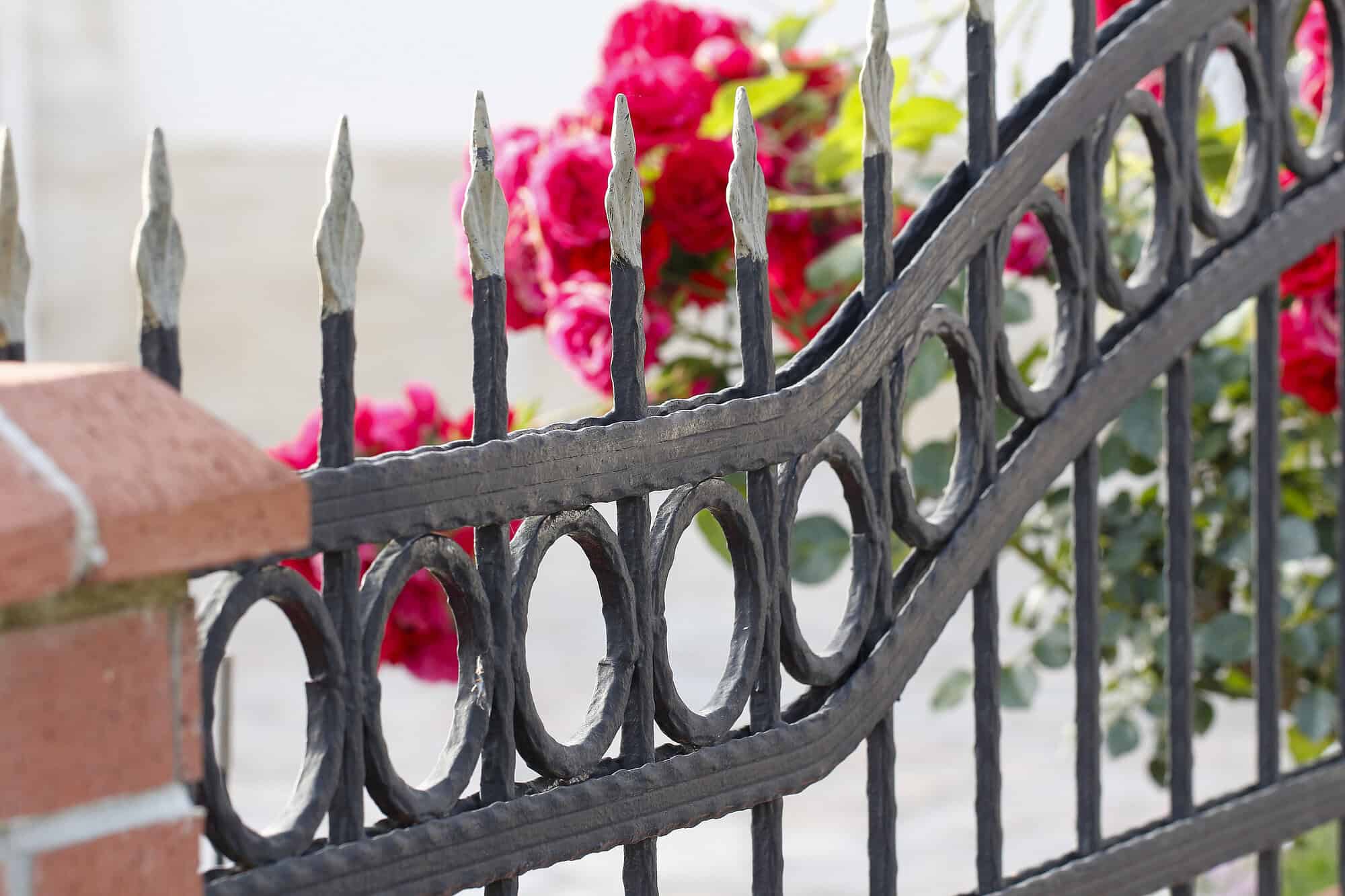 Enhancing-Privacy-Security-and-Style-with-Ironwork-Gates-Renaissance-Development-DC