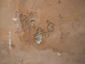 Bubbling and peeling paint on an interior wall caused by moisture intrusion behind the surface.