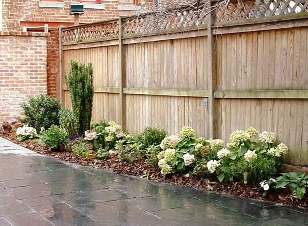Beautiful garden with lush hydrangeas and greenery along a wooden fence.