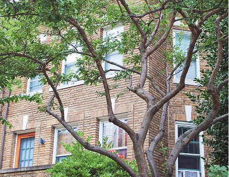 Historic masonry and tuckpointing on a brick building facade.