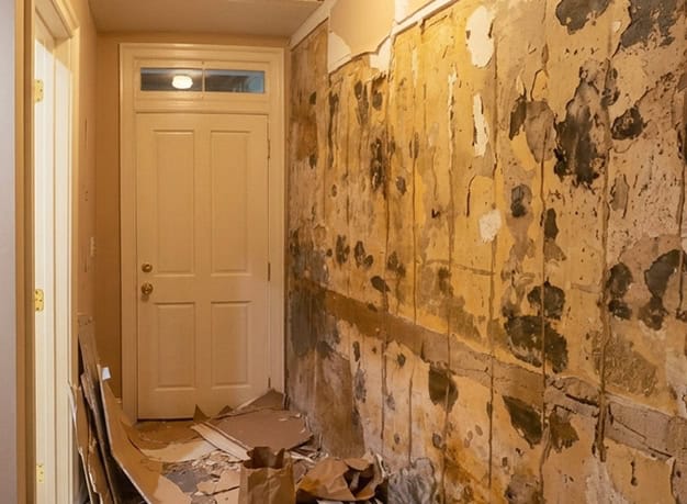 Old wall with damaged plaster and masonry in need of repair.